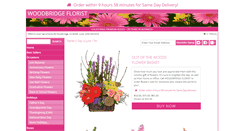 Desktop Screenshot of floristlodica.com